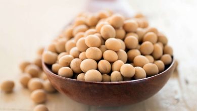Health benefits of Soy Protein