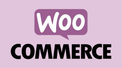 best woocommerce wordpress theme