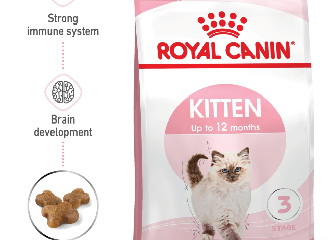 royal canin cat food