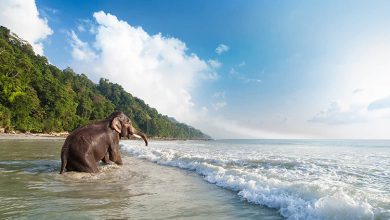 Top 10 Places to visit in Andaman and Nicobar Island