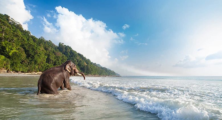 Top 10 Places to visit in Andaman and Nicobar Island