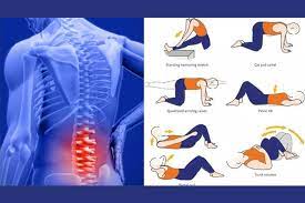 best-lower-back-pain-exercises
