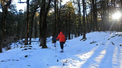 nag tibba trek