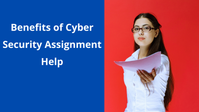 Cyber Security Assignment Help