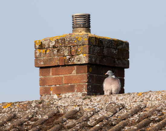 rooftop chimney