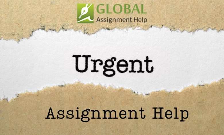 Urgent Assignment Help