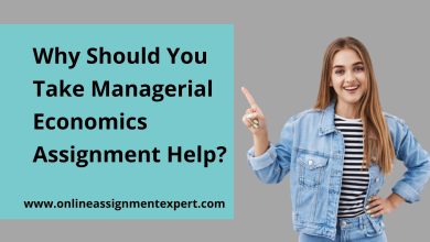 managerial economics assignment help