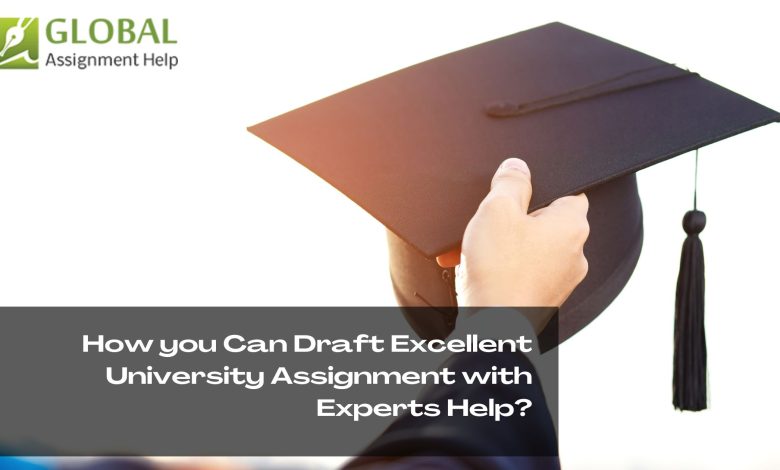 How you Can Draft Excellent University Assignment with Experts Help