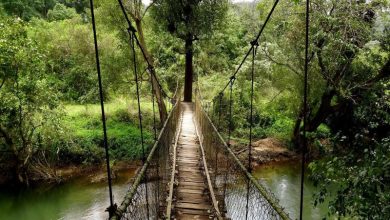 Places to Visit in Coorg