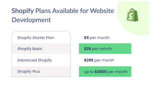 Shopify Website Cost
