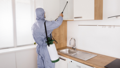 pest control Hyderabad