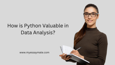 How-is-Python-Valuable-in-Data-Analysis