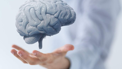 Brain Tricks: How to Increase Memory and Learn Faster