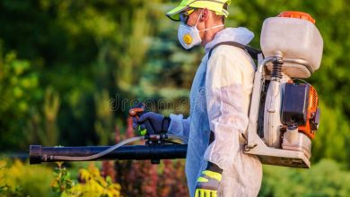 pest control dhaka